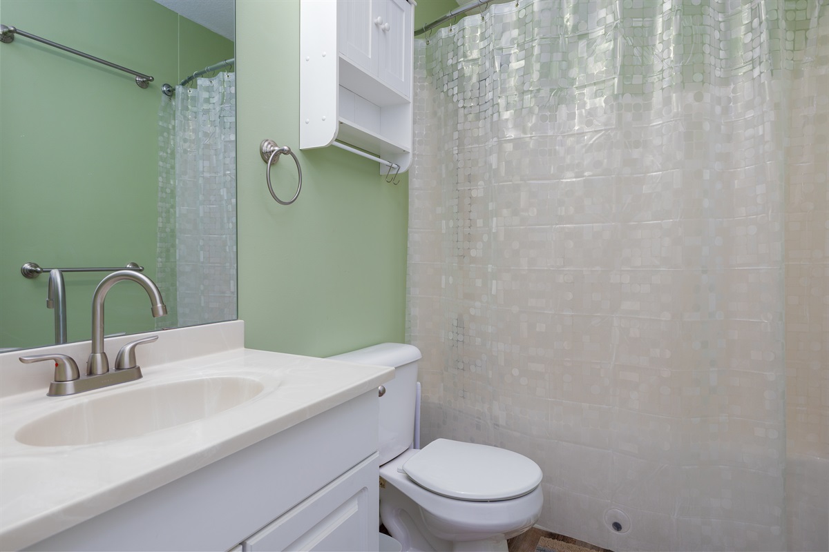 Downstairs hallway bathroom
