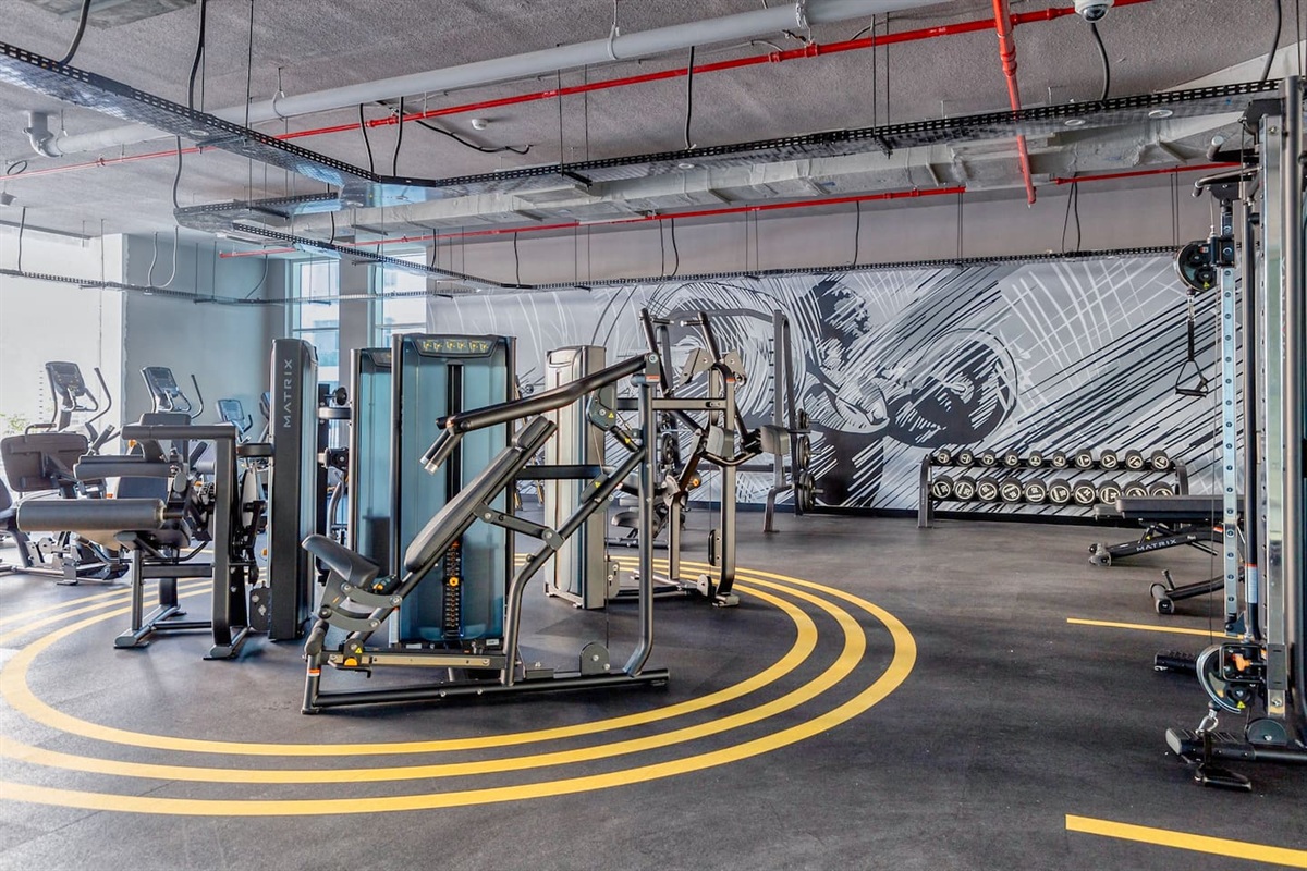 Wonderful and modern gym