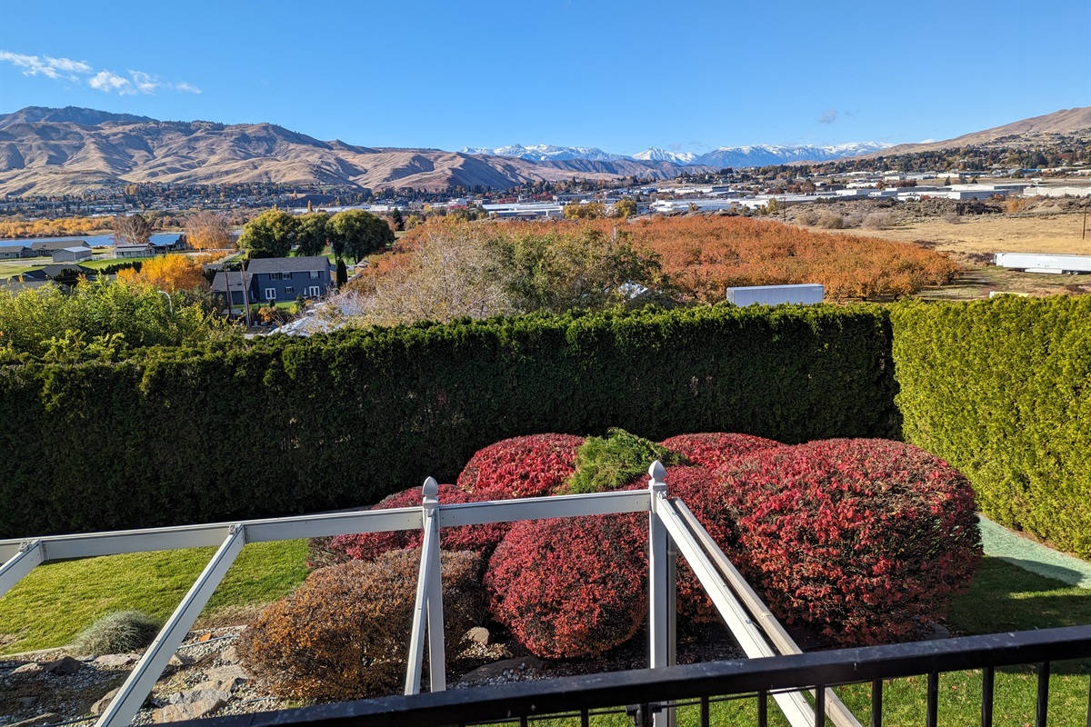 Private fenced outdoor area with garden landscaping.