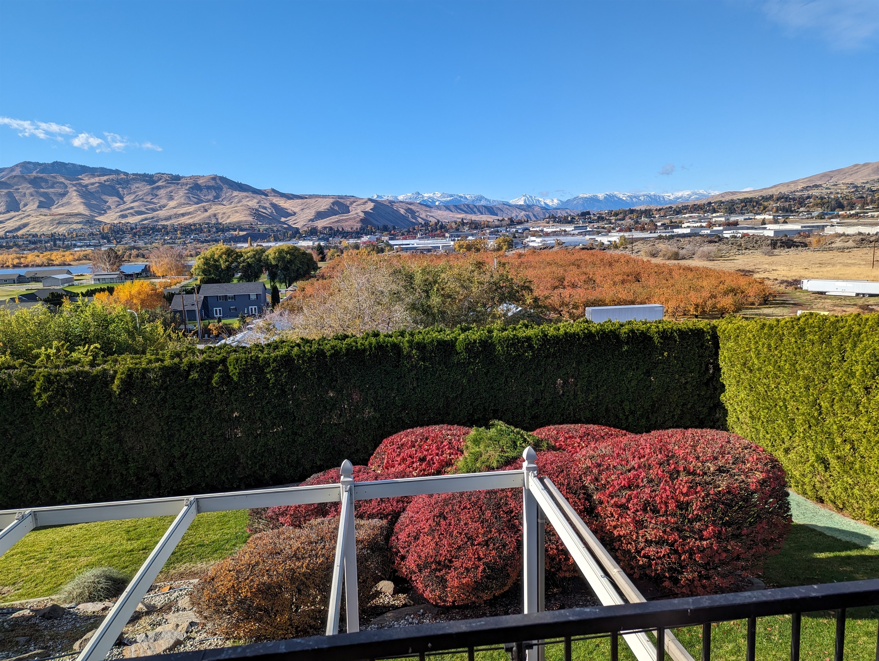 Private fenced outdoor area with garden landscaping.