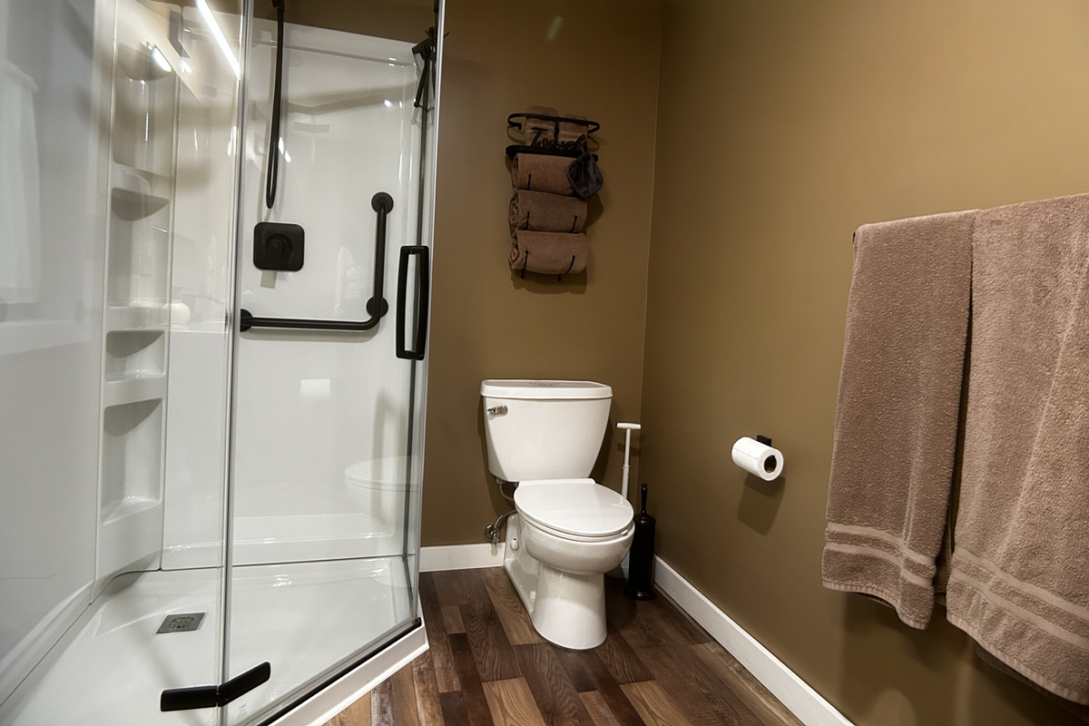 Hand held shower head and grab bar in the shower.