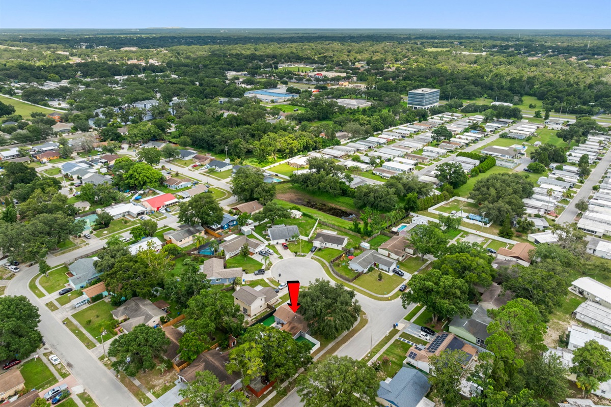 Aerial View of the Neighborhood