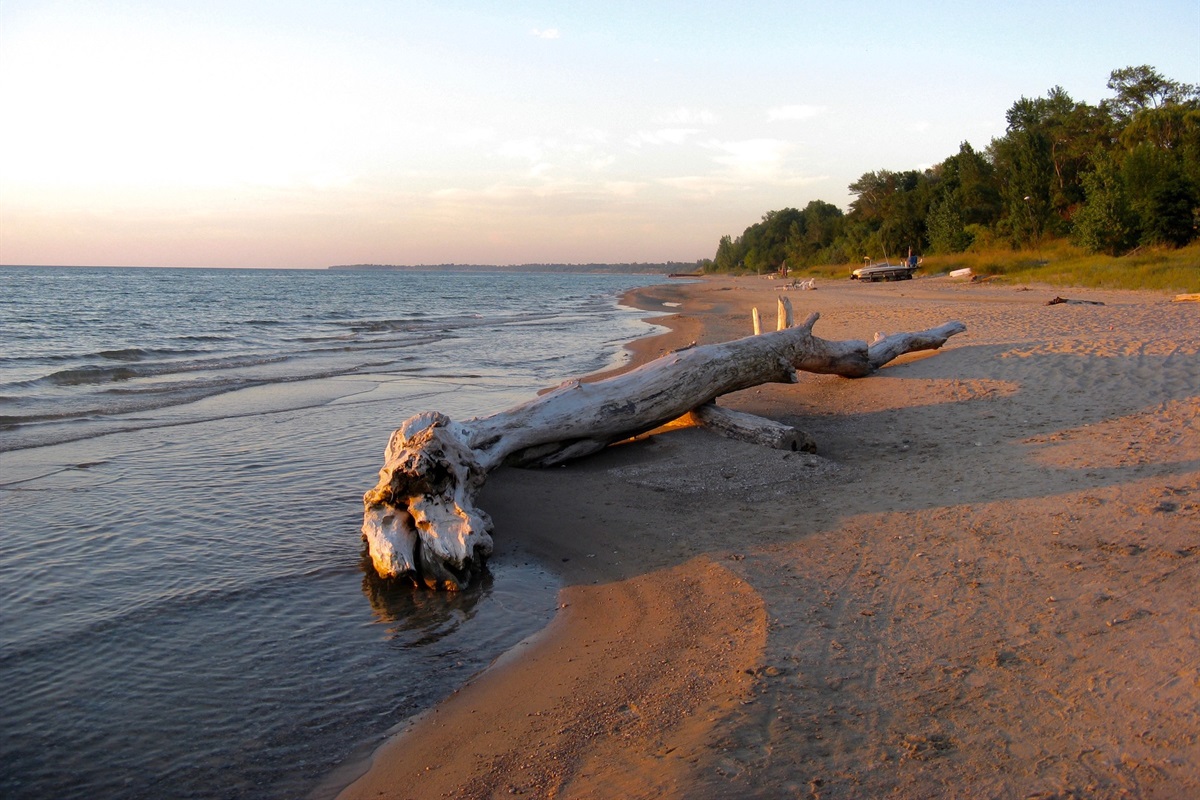 afd80a6f24804133857d68adfa9bb766 Large