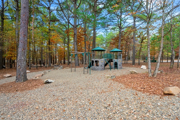 A forest playground made for adventure — let the kids explore, climb, and play under the tall pines. Located by the clubhouse