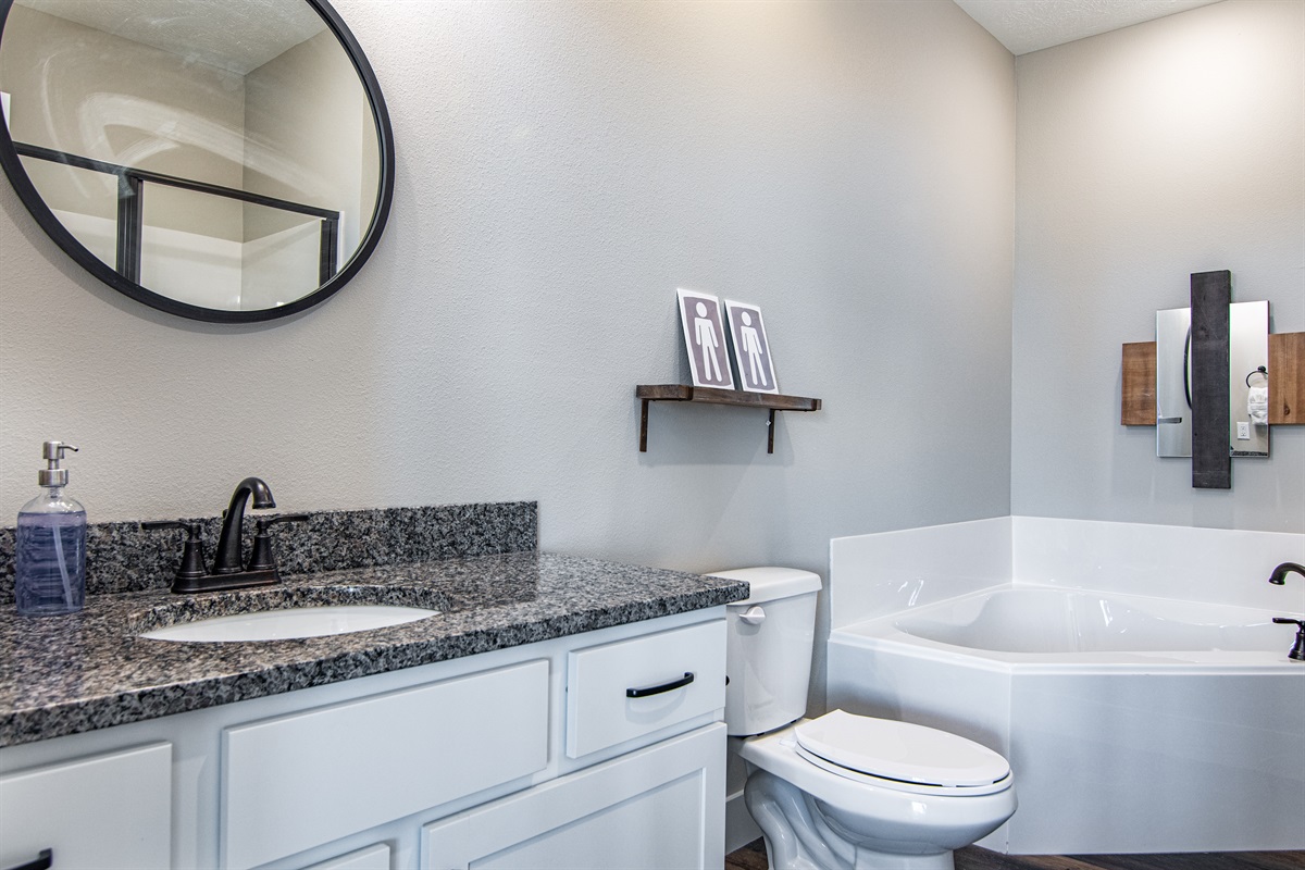 Lower level bathroom