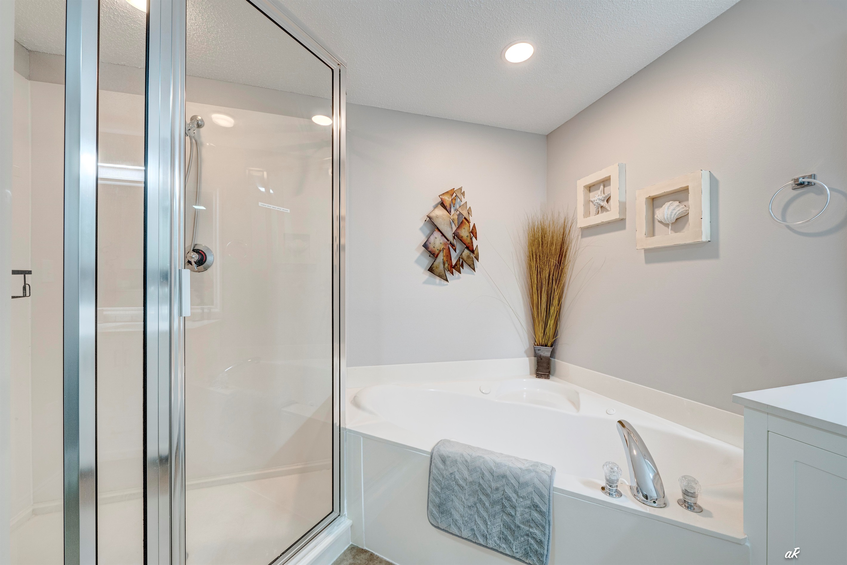 Jacuzzi tub, large shower