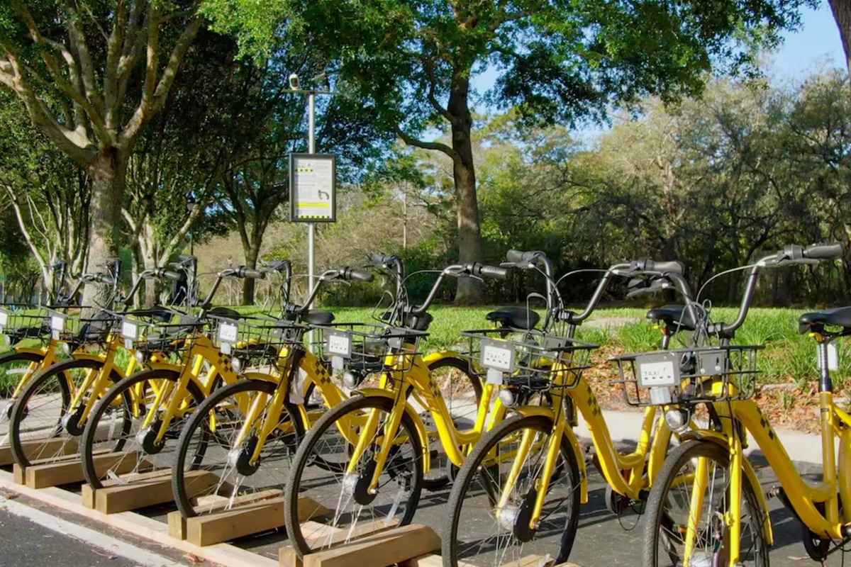 Explore the area with ease thanks to convenient bicycle rentals.