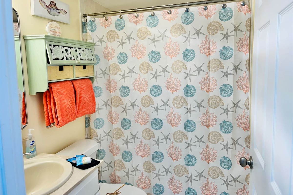Guest Bathroom