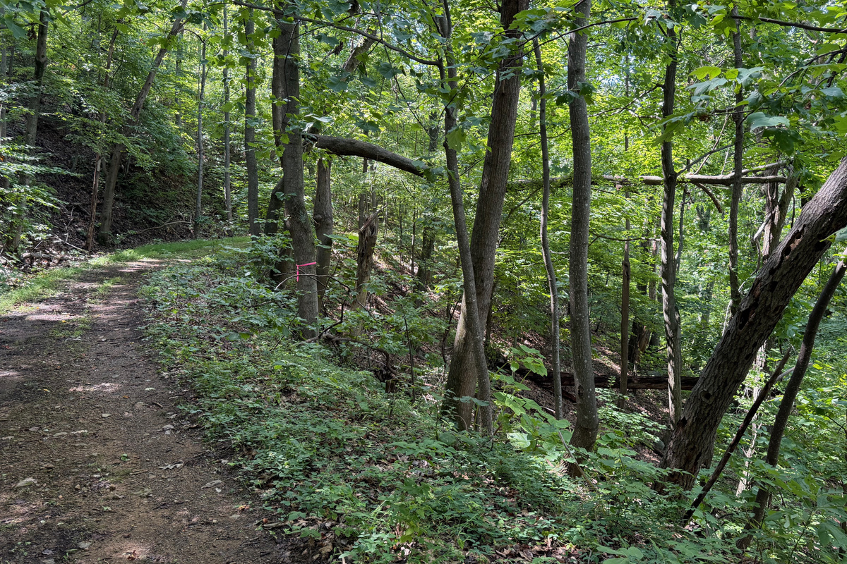 Numerous trails are on the 26 acre property, which you are free to use. We do have many wild animals to enjoy watching, but do take care and be safe. Read through the Guest Welcome Book about safety before you venture off.
