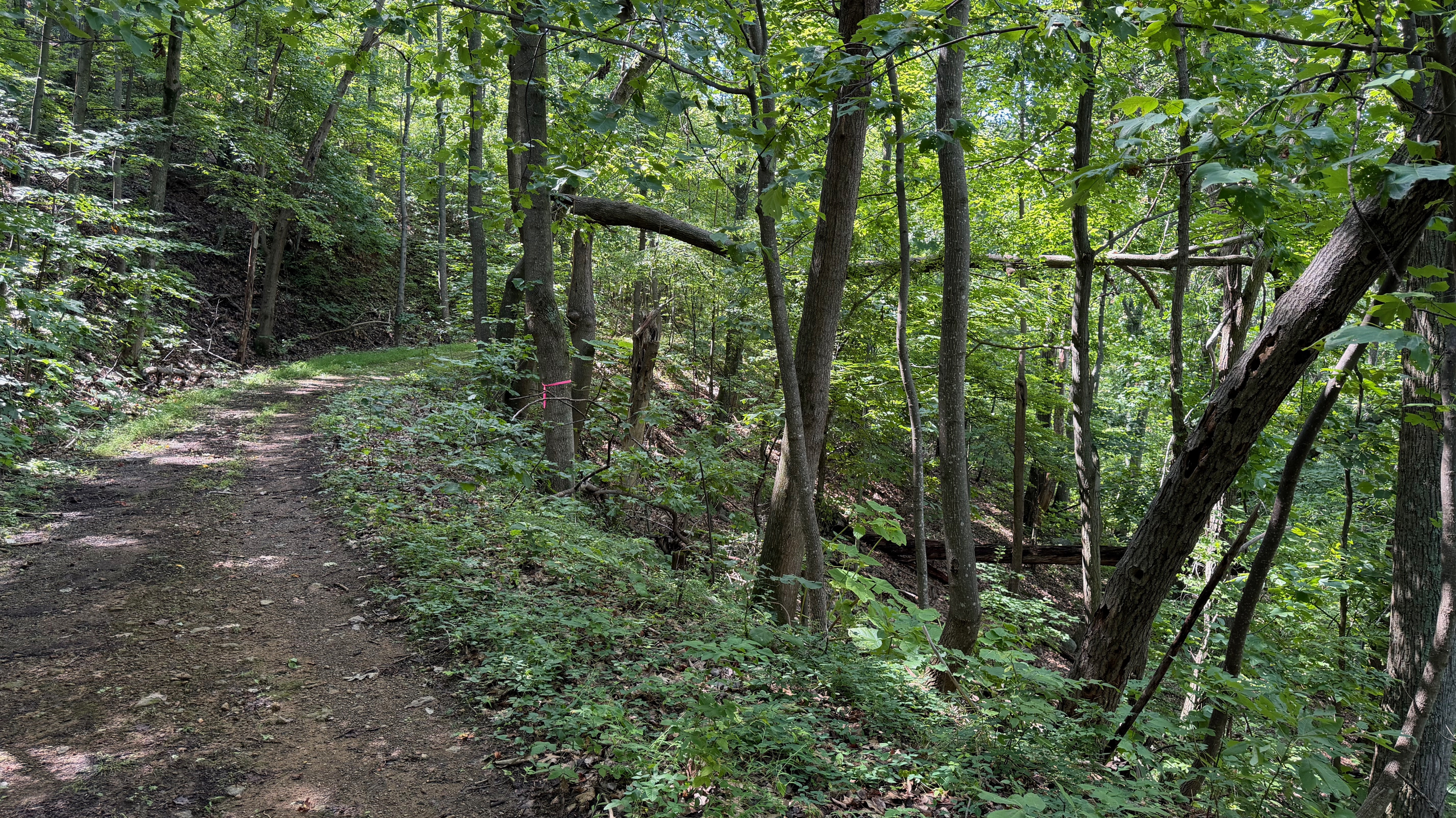 Numerous trails are on the 26 acre property, which you are free to use. We do have many wild animals to enjoy watching, but do take care and be safe. Read through the Guest Welcome Book about safety before you venture off.