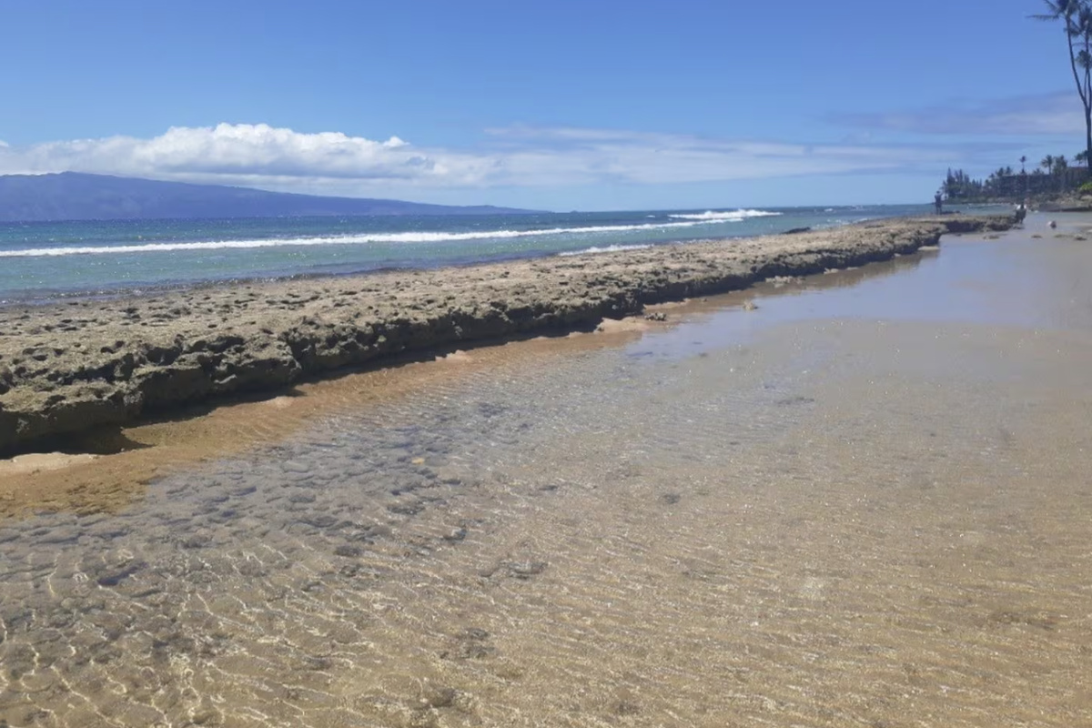 Neighborhood beach park and snorkeling