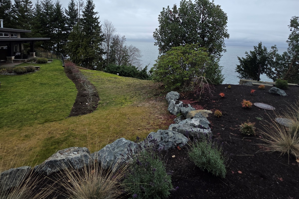 More backyard views.