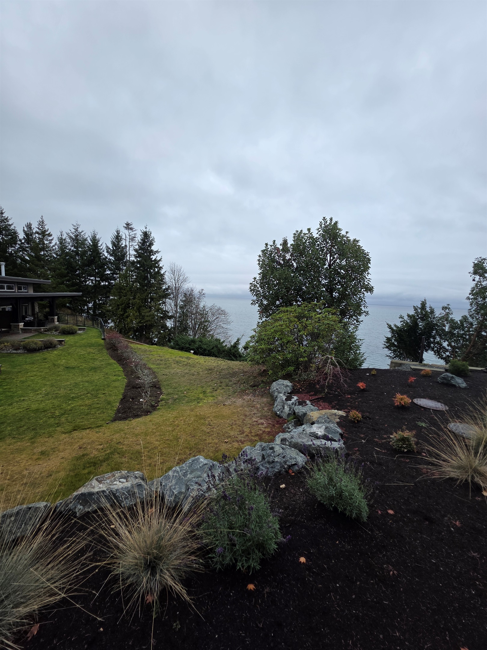 More backyard views.