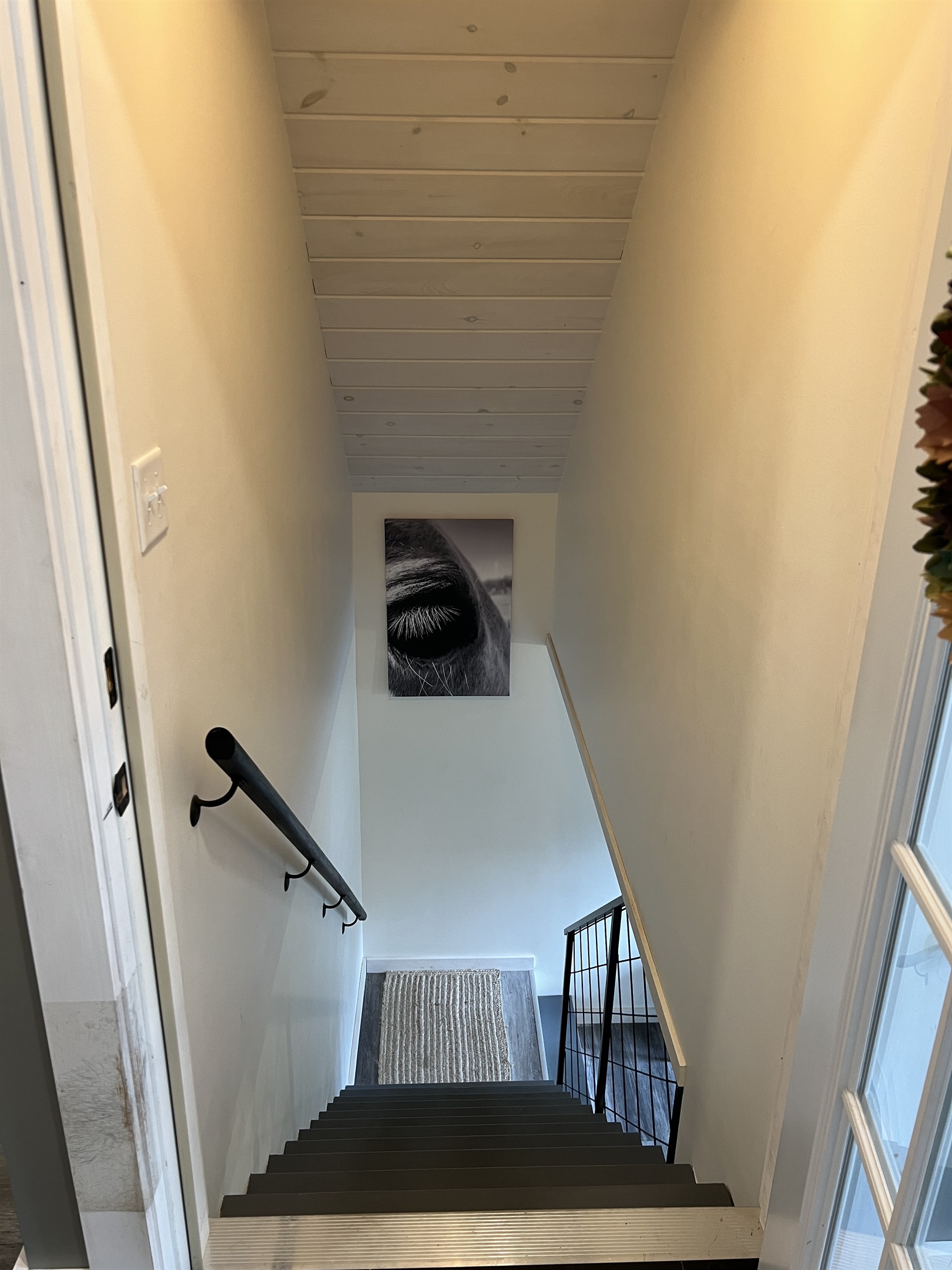 Horse Haven stairs leading to the main entrance.