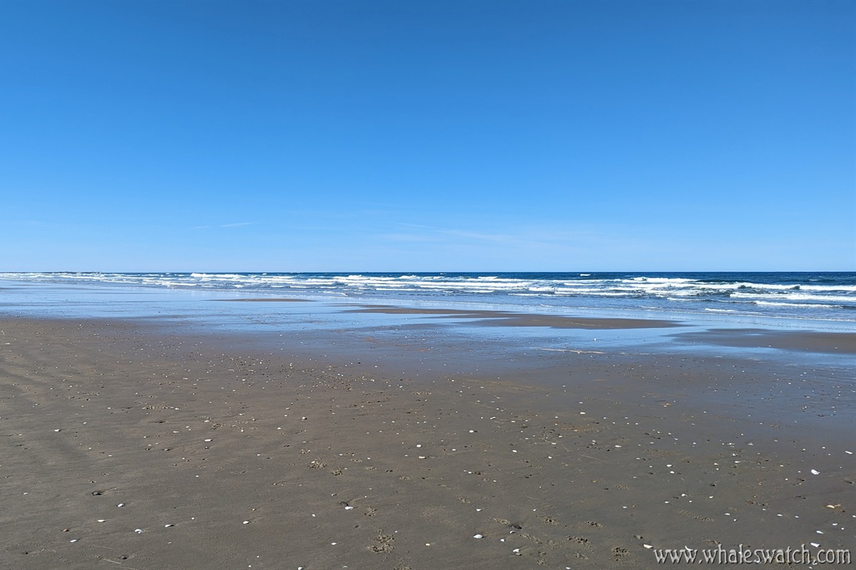Heceta Beach looking south