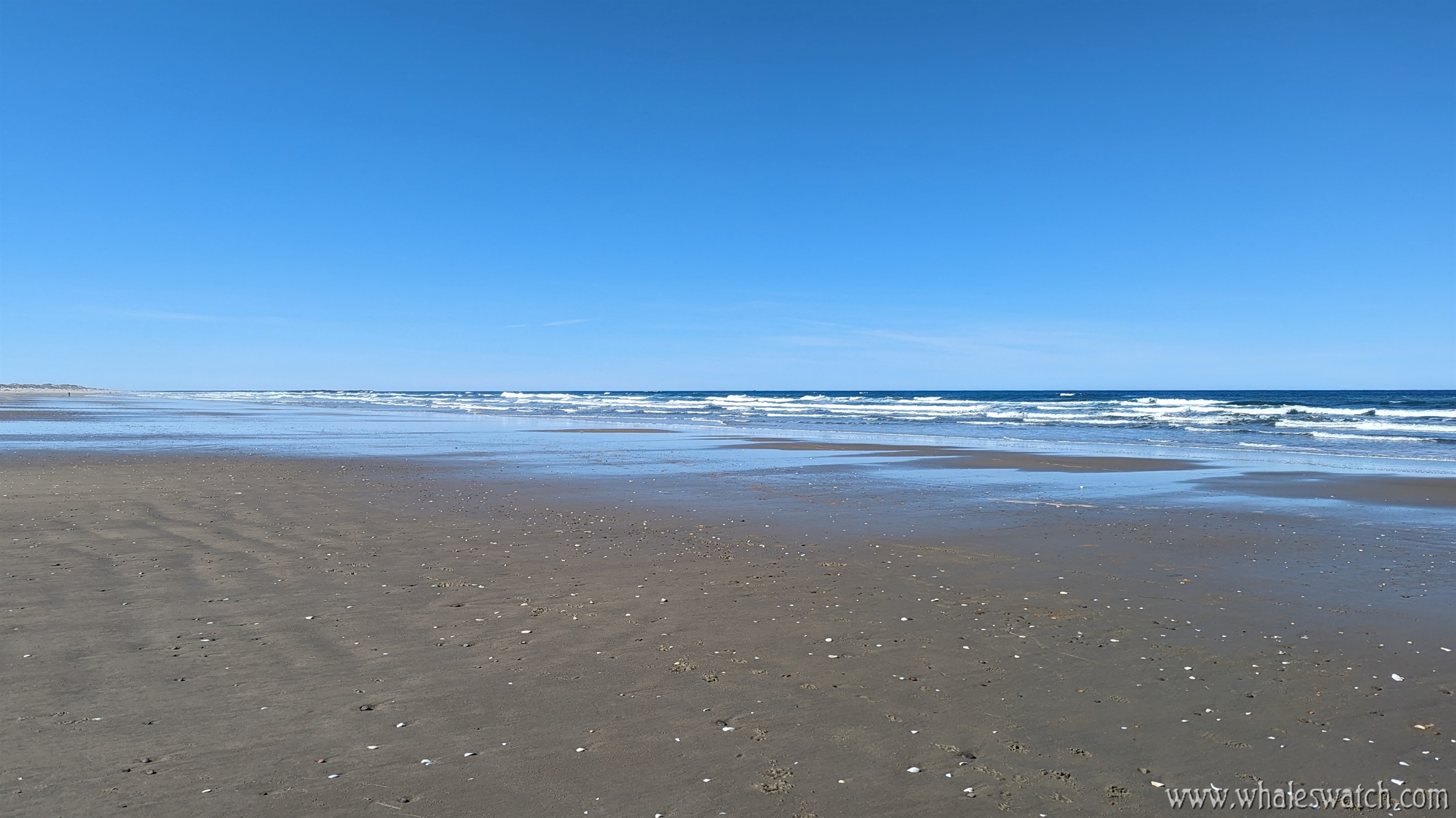 Heceta Beach looking south