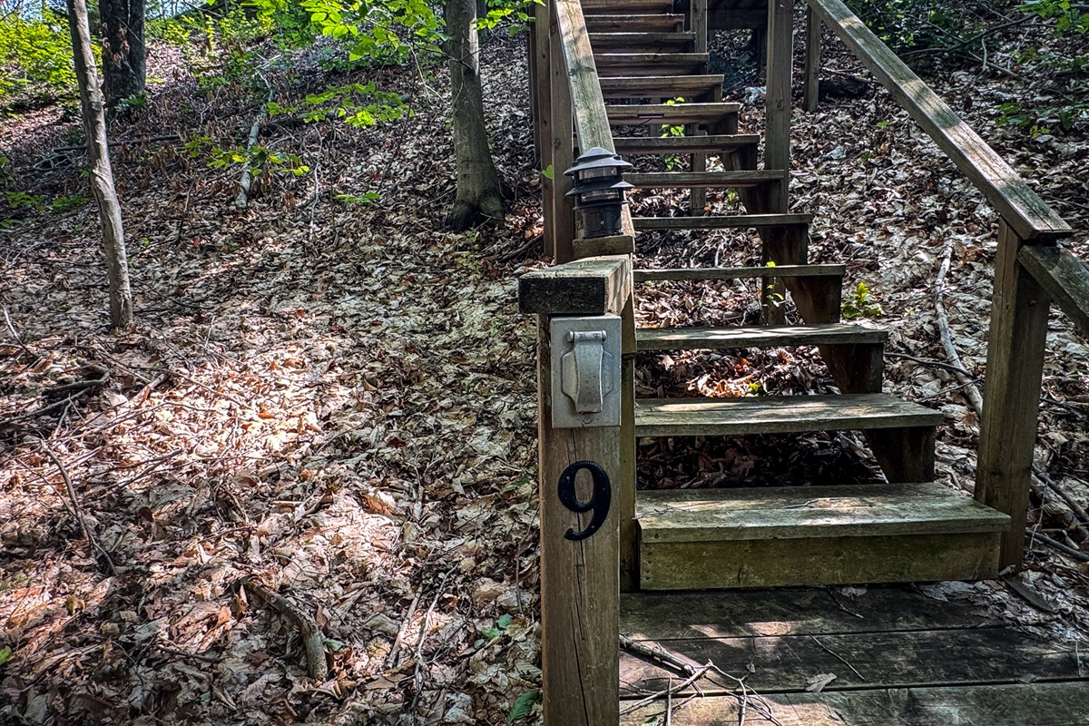 Stairs to the unit from the main association road (About 45)