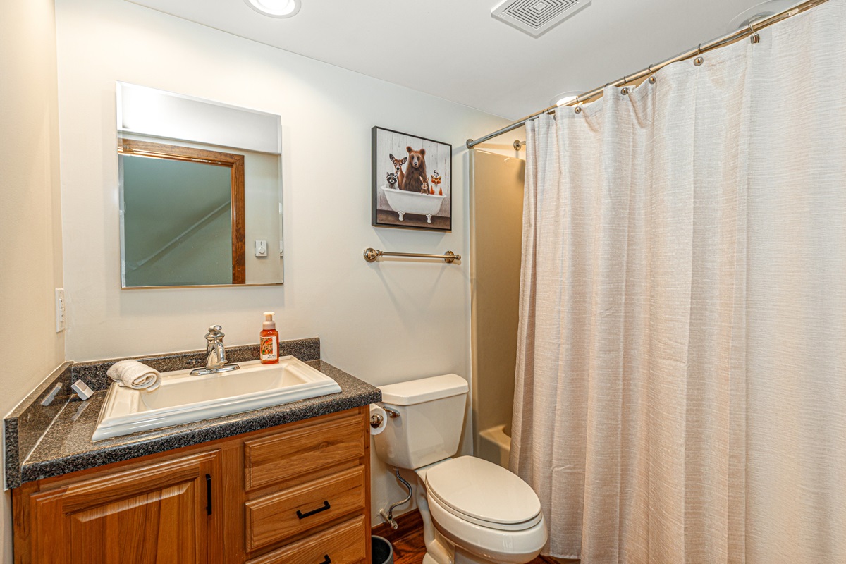 Main-level bathroom (ensuite to bedroom and accessible from main floor living area)
