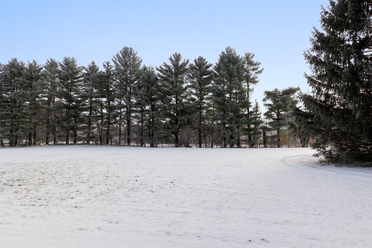 Easy access to Rec Path for hikes