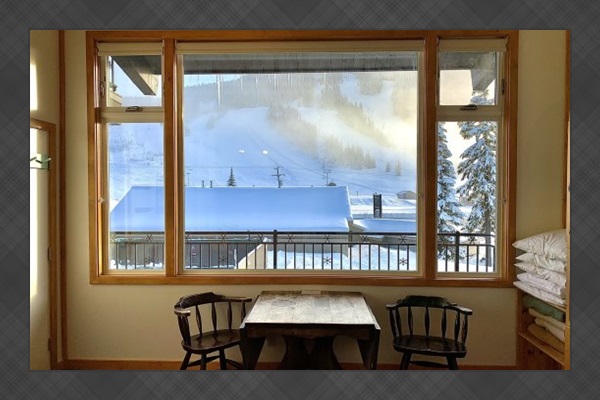 View from dinning area window.