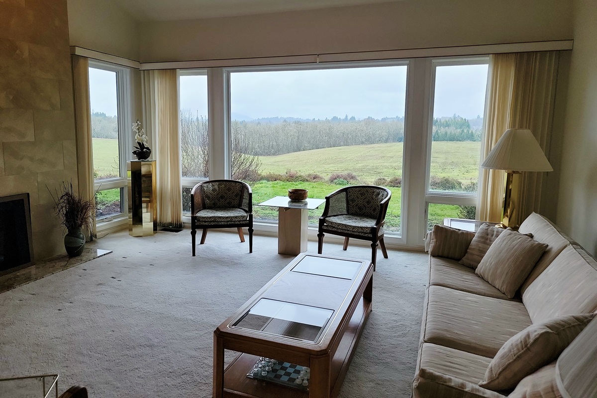 Amazing views from the living room