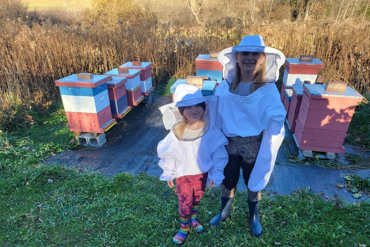 Beehives