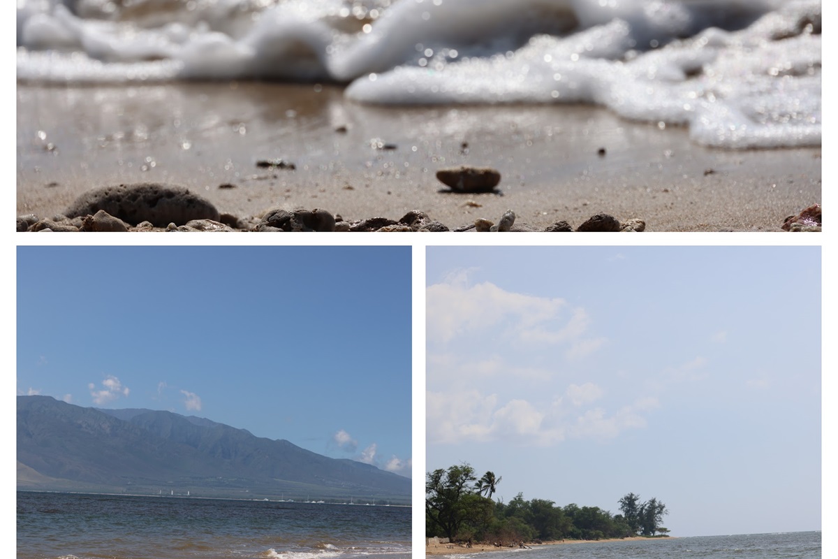 The beach in front of the resort is perfect for a peaceful morning walk. You can also bring a chair and a book down so you can just sit and relax while listening to the soothing sound of waves crashing on the shore.