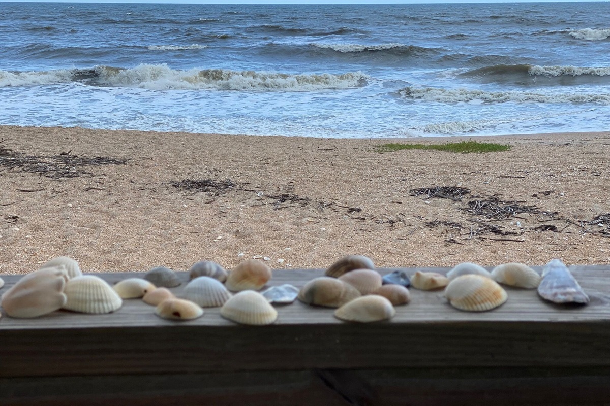 Beach Life