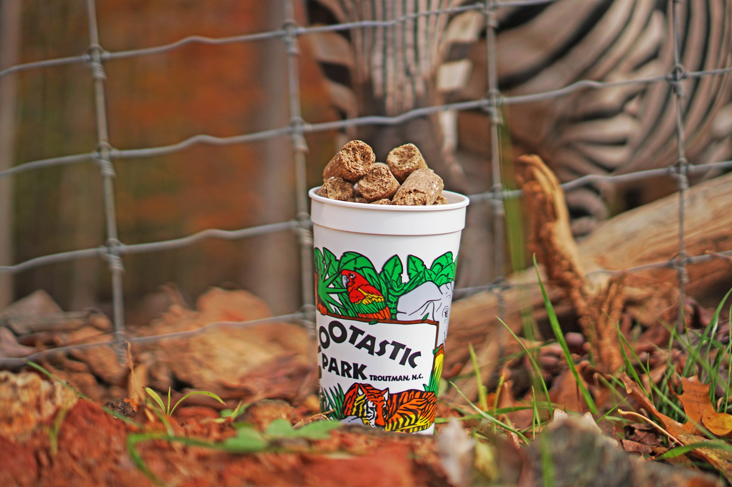 Create lasting memories feeding friendly animals.