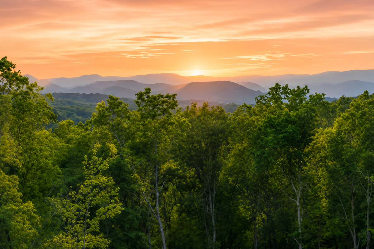A front-row seat to nature&rsquo;s golden encore: views that invite you to pause, breathe, and feel grateful.