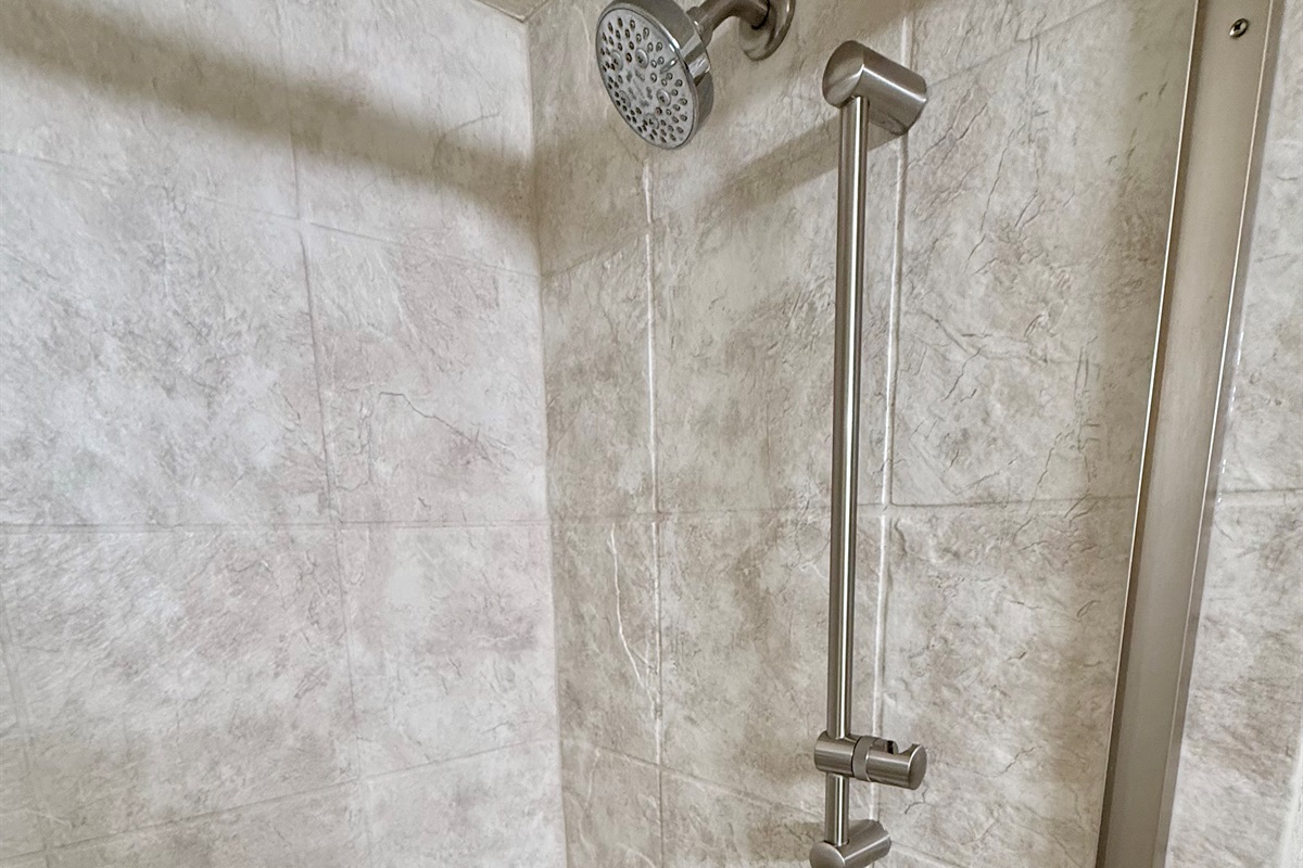 Shower head and handle