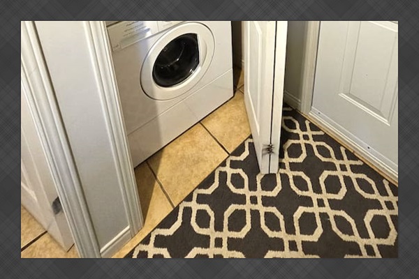 Enjoy easy access to modern laundry facilities during your stay.