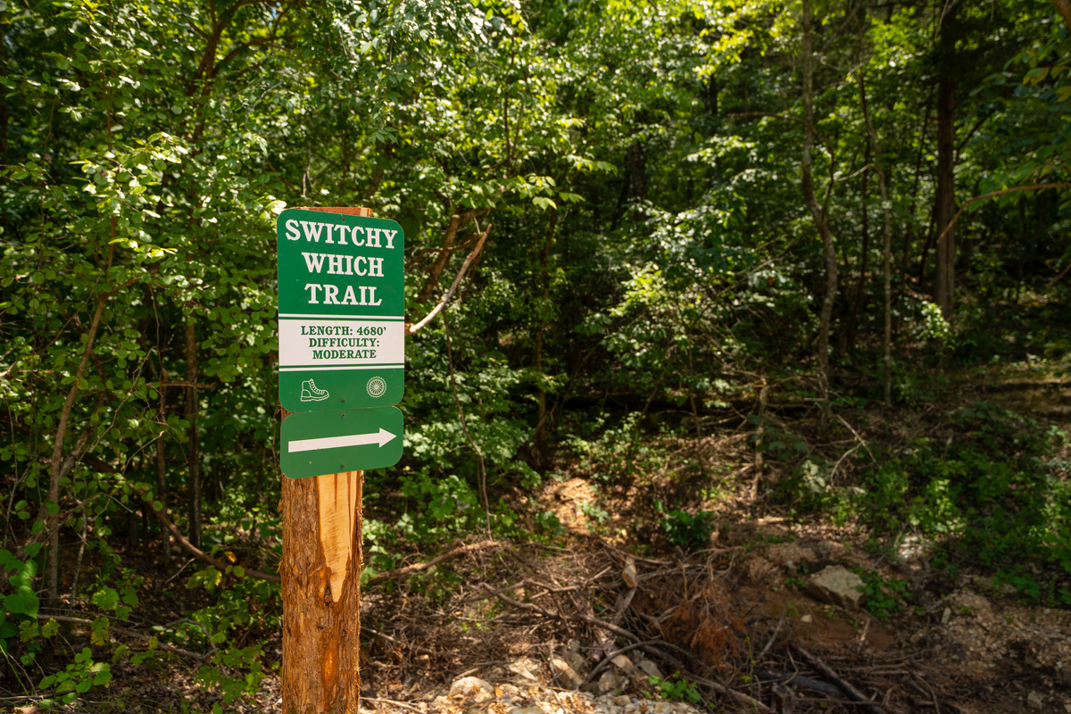These peaceful paths wind through towering timber and gentle hills, offering both leisurely strolls and invigorating hikes surrounded by nature.