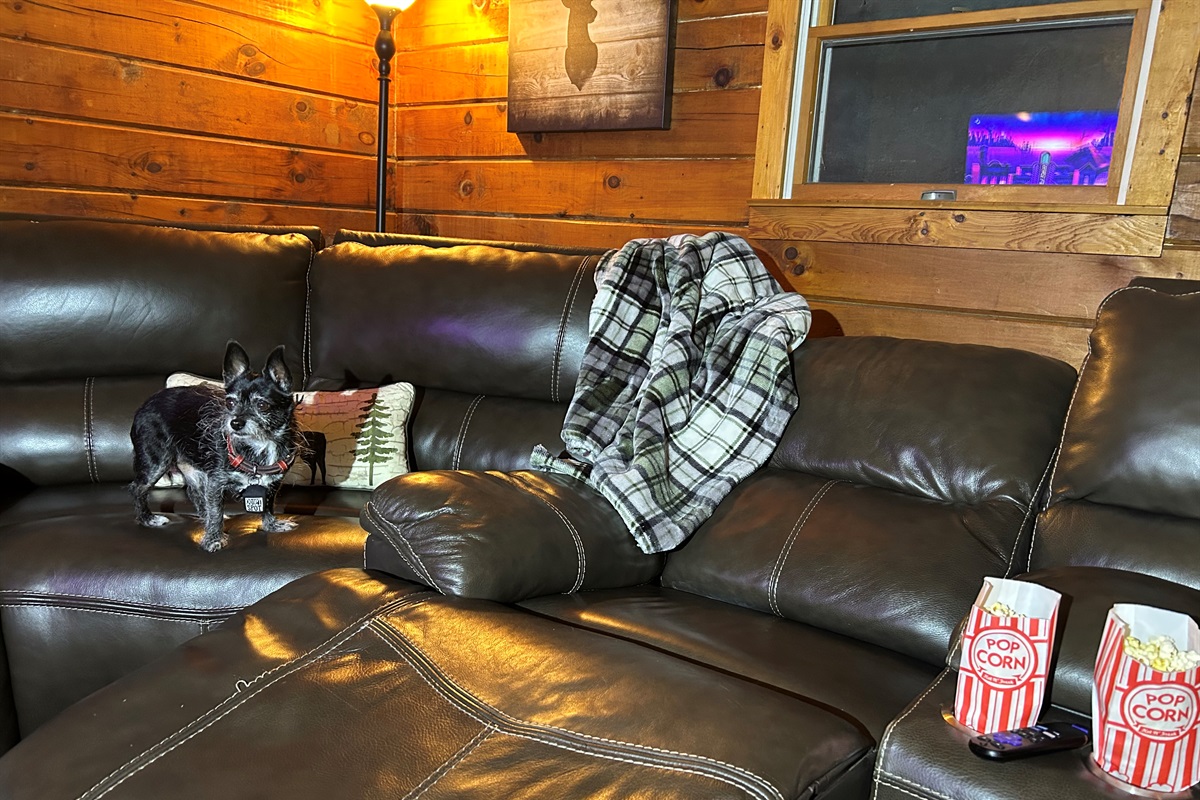 Pop some movie theater style popcorn, kick up your feet, and watch a movie. Our dogs think the popcorn is delicious!