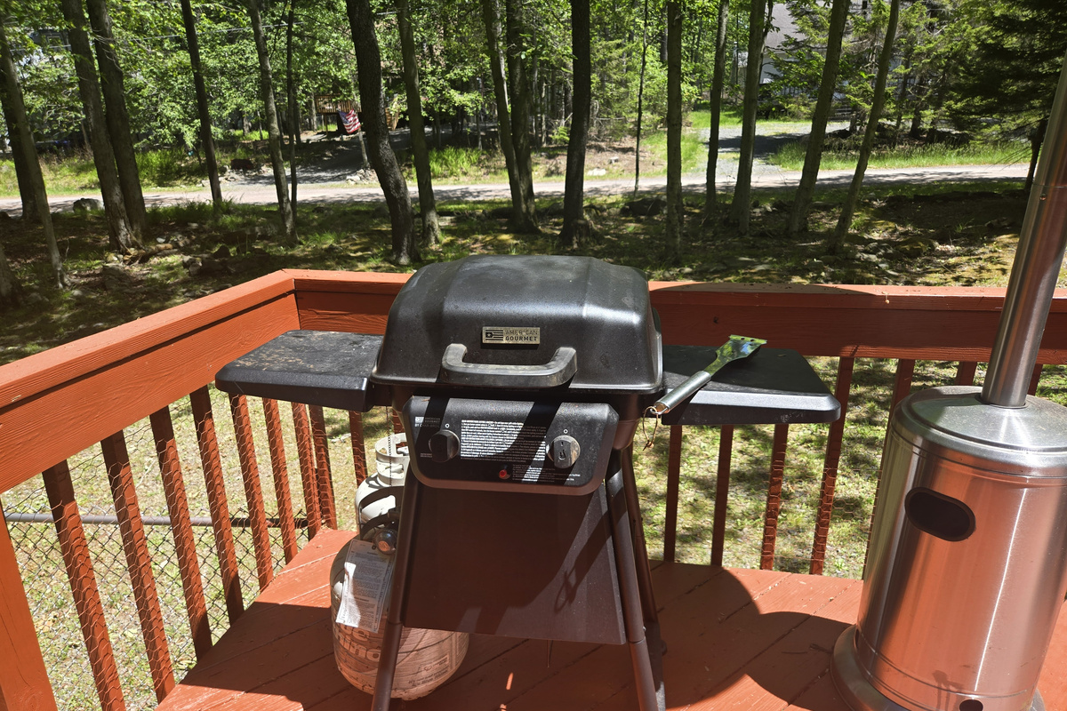 Propane BBQ grill