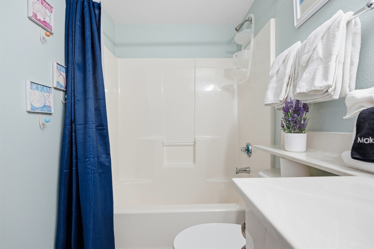 Guest Bath