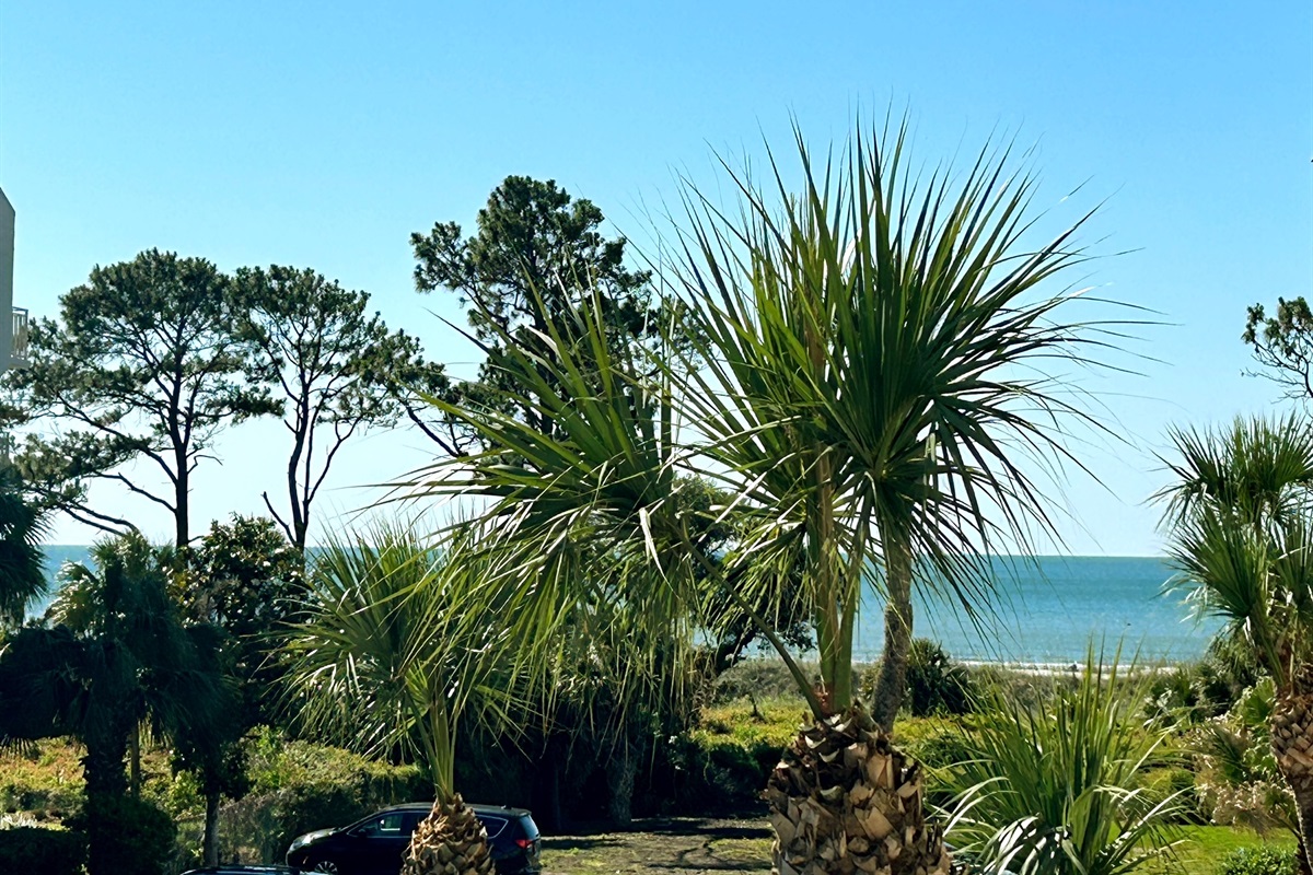 Zoomed-in shot of the beach - just teps to the sand