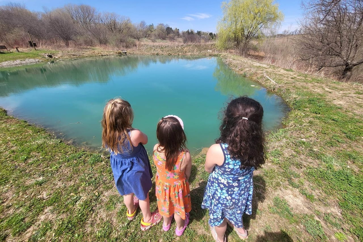 Pond