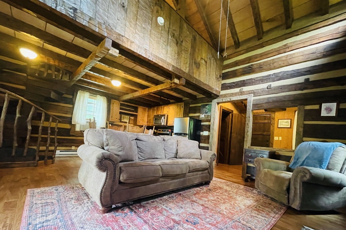 From this photo you can see loft above, dining and kitchen behind living area. 