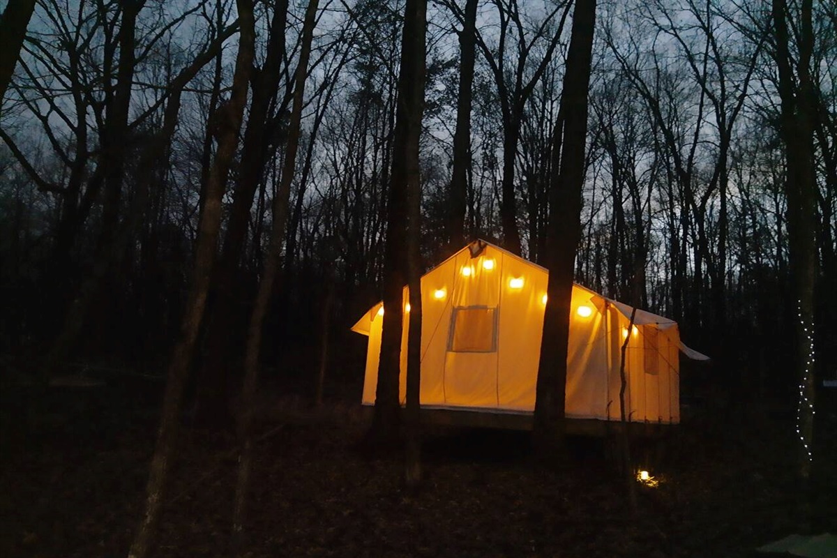 Peaceful, Serene and Comfy.  Come and enjoy