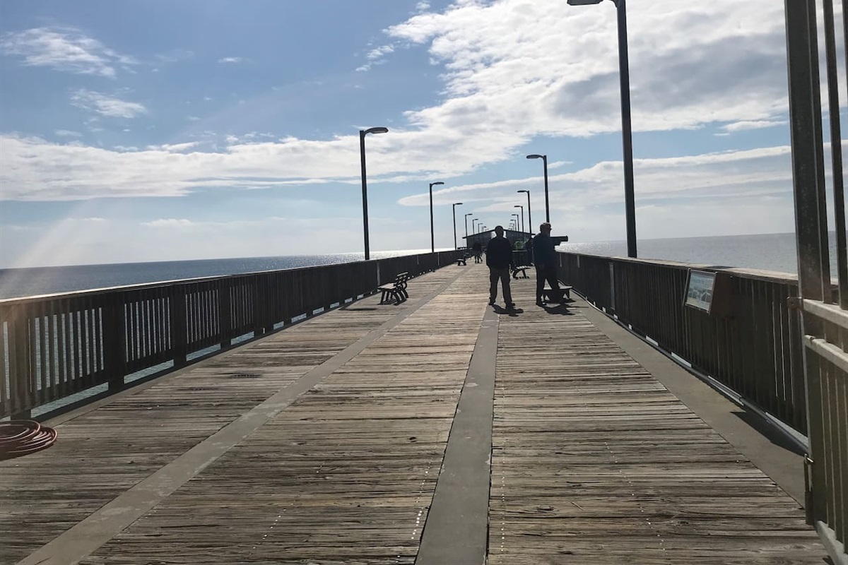 Walking distance to Pier to fish or just take in the sea life. 