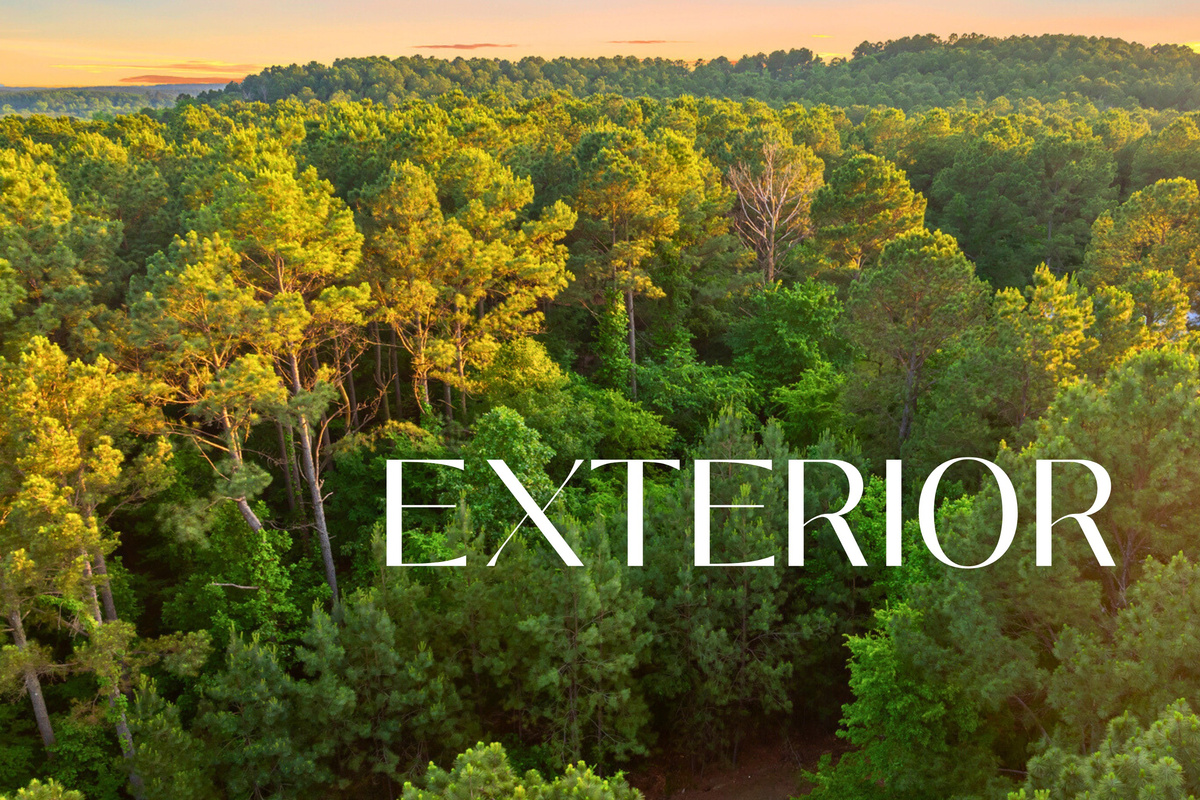 Aerial exterior view of your private forest getaway.