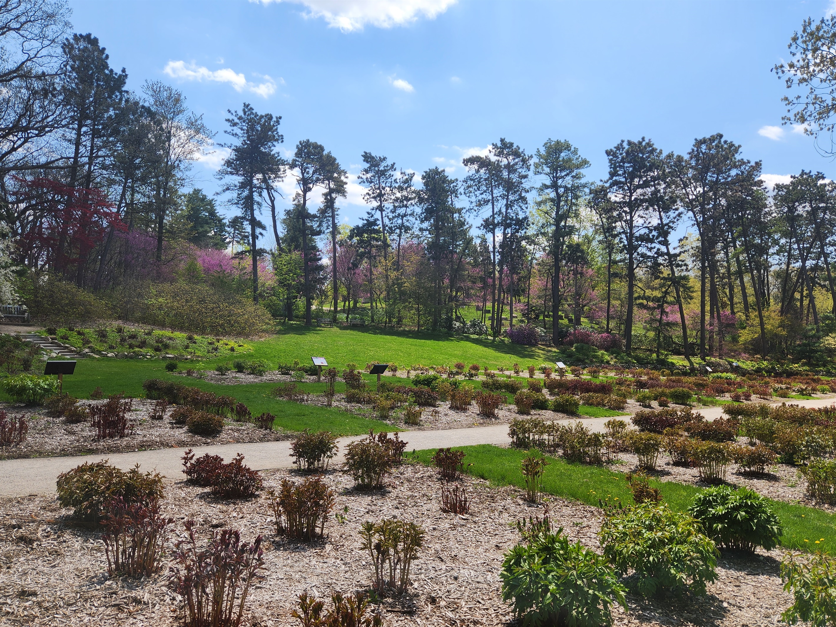 Nichols Arboretum (1.8 miles away)