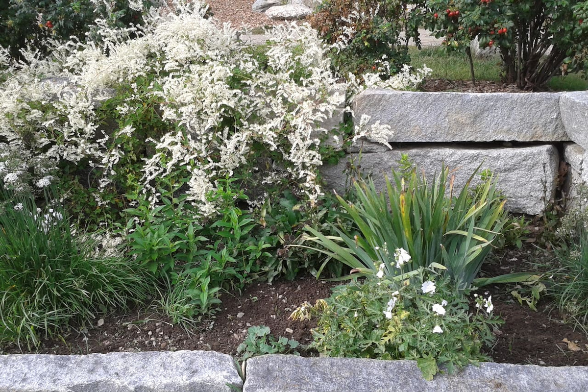 One of many granite walls accompanies by beautiful flowers and foliage 