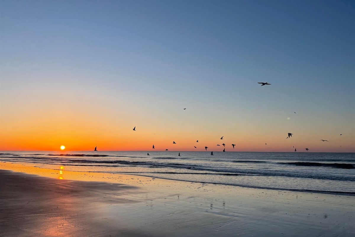 Breathtaking sunrises.