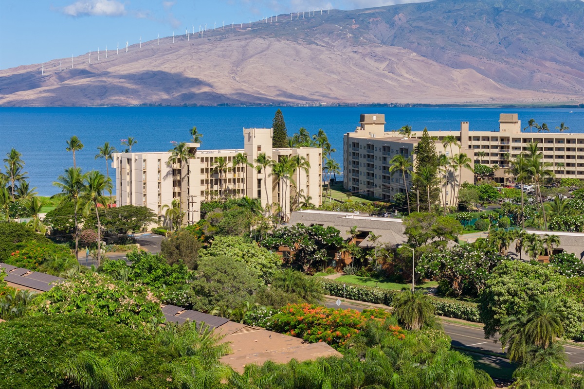 South Maui