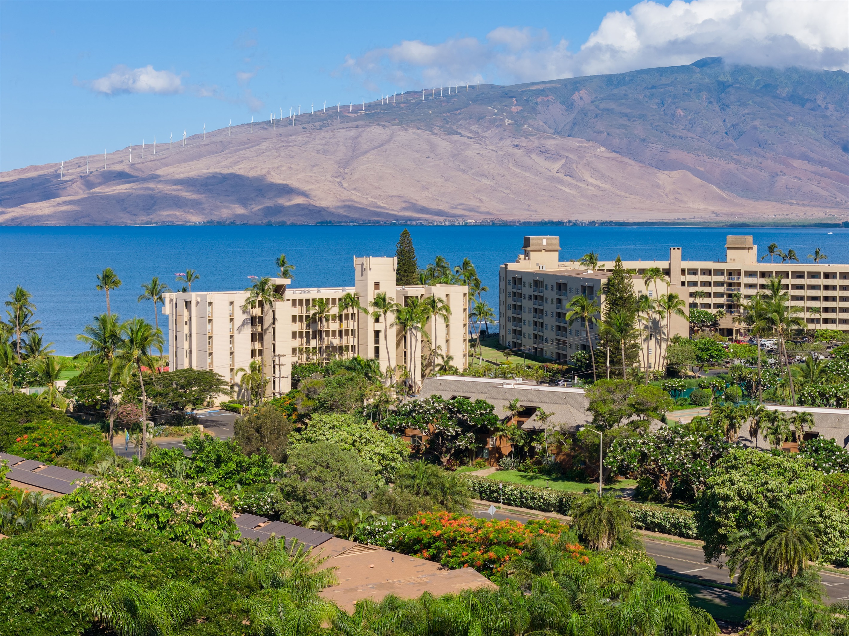 South Maui