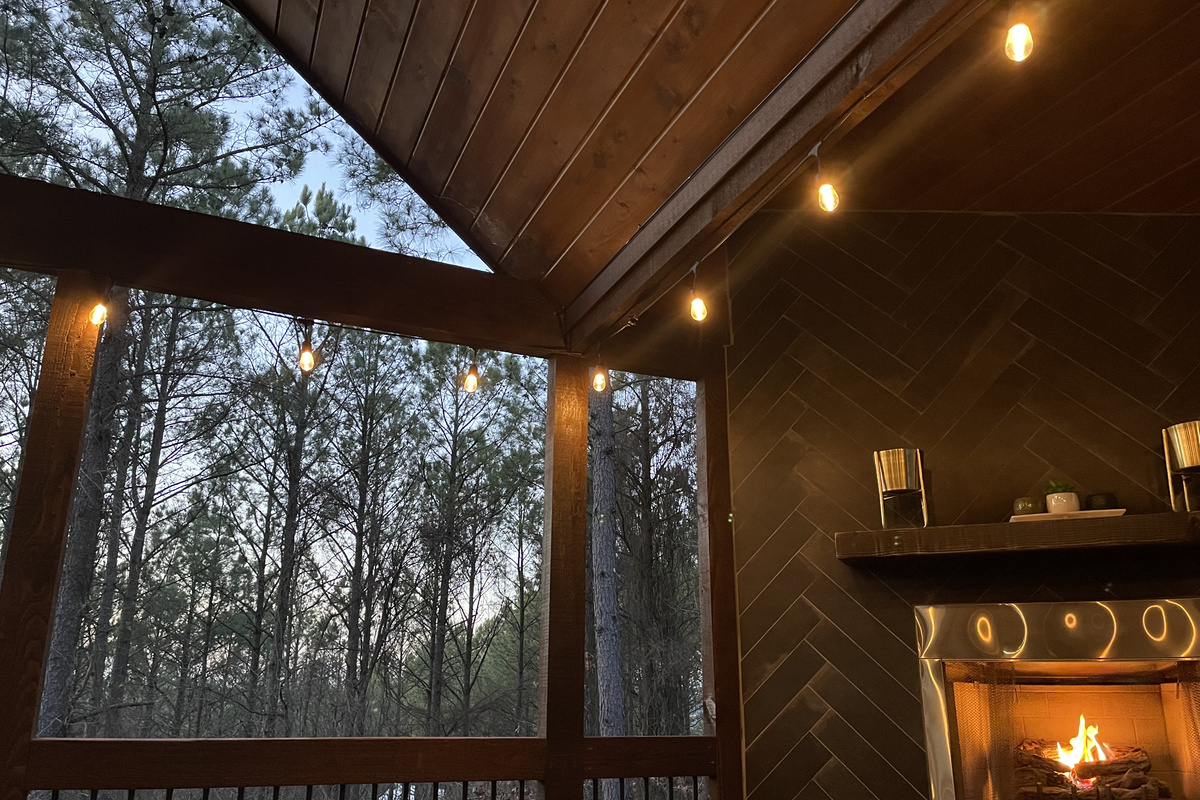 Cozy view of the tall pine trees.