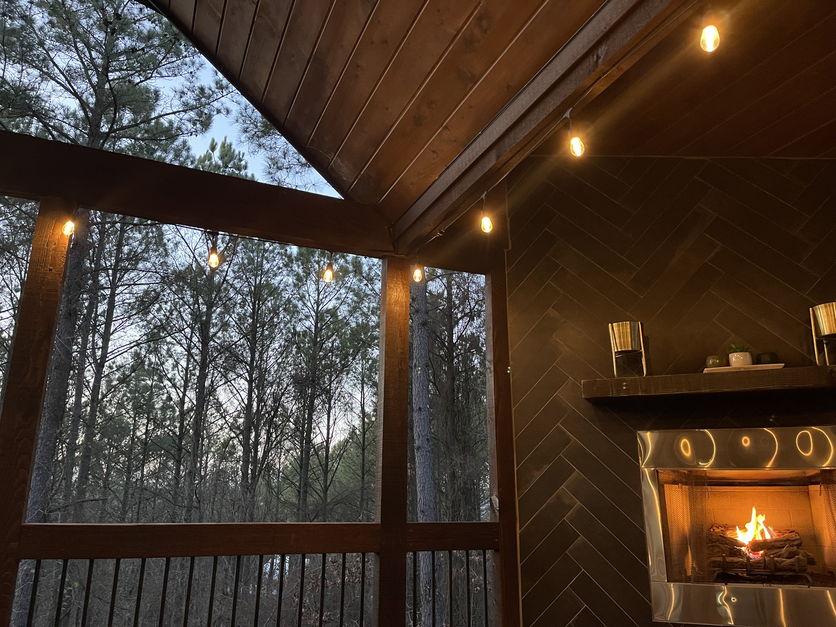 Cozy view of the tall pine trees.