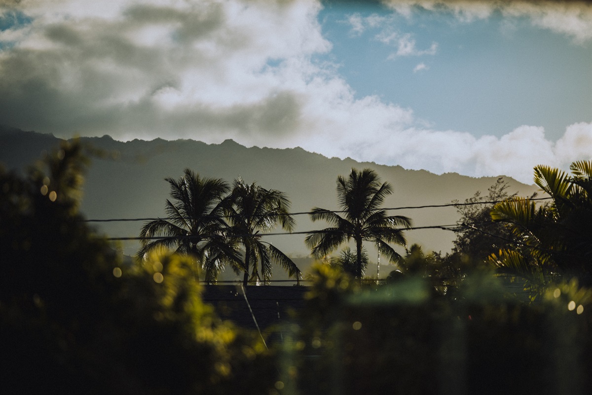 14.3_Views- View_c